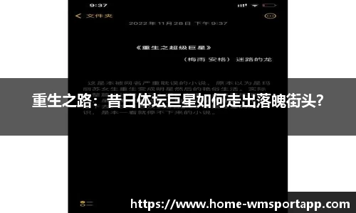 重生之路：昔日体坛巨星如何走出落魄街头？